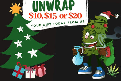 Unwrap your gift with us $10, $15, $20
